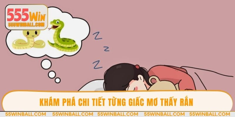 Khám phá chi tiết từng giấc mơ thấy rắn 