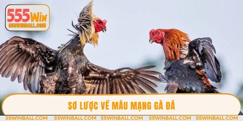 Sơ lược về màu mạng gà đá