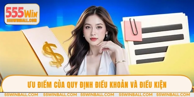 Ưu điểm của quy định điều khoản và điều kiện